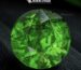 5.68 ct demantoid garnet green untreated lotus certified natural gemstone