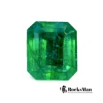 Zambian Emerald – Rich Green, 28.85 Ct, Emerald (Octagonal) Cut